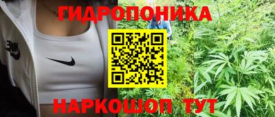 ALPHA-PVP Новозыбков