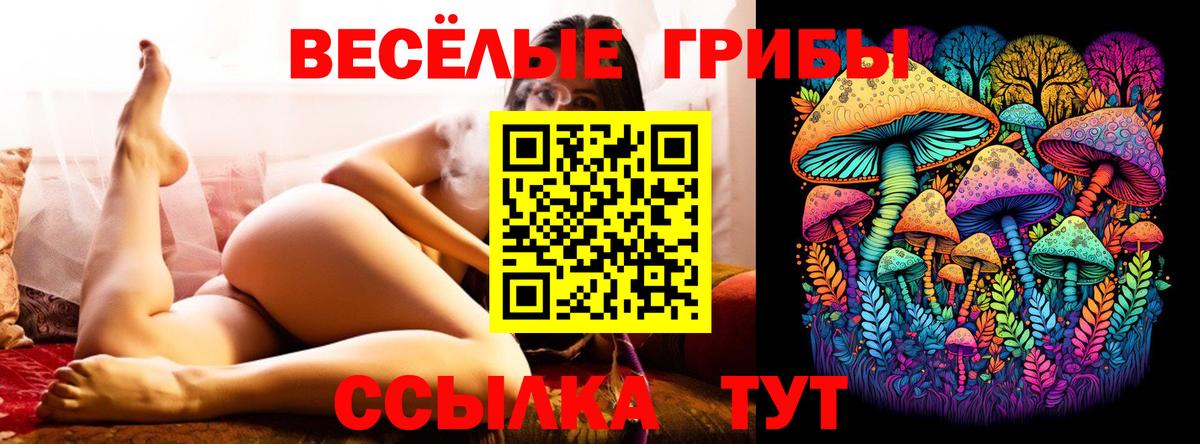 Россошь  Галлюциногенные грибы Magic Shrooms  Вход с VPN 