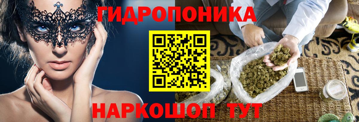 Бошки Шишки сатива Россошь